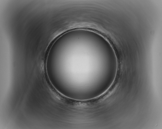 X0000115251505200911061208