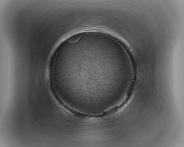 X0000115251506200911061208