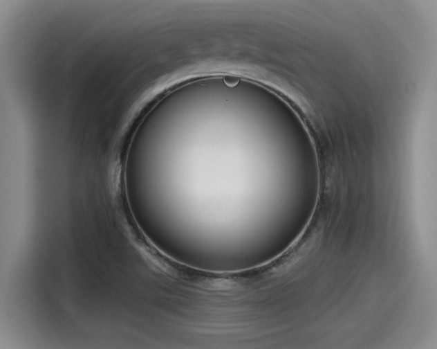 X0000115251507200911061208