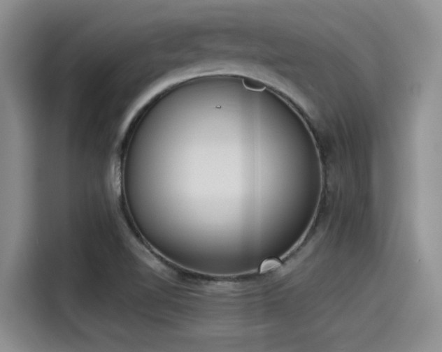 X0000115251510200911061208
