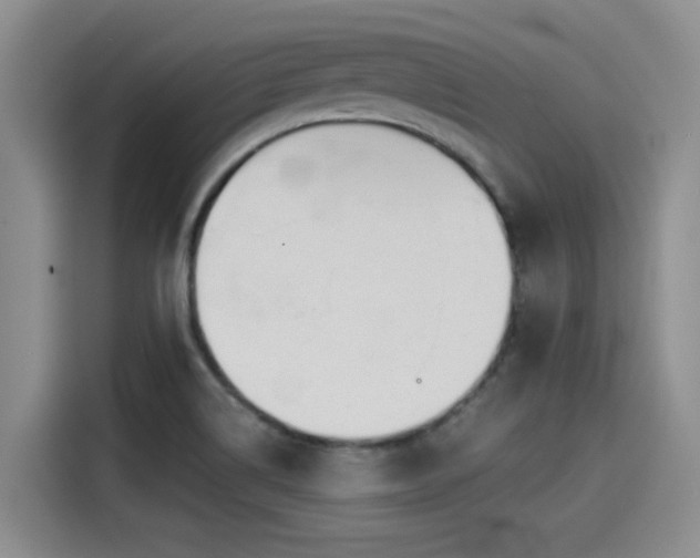 X0000115251514200911061208