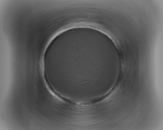 X0000115251515200911061208
