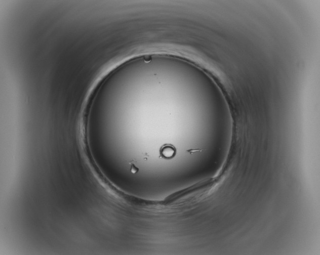 X0000115251517200911061208