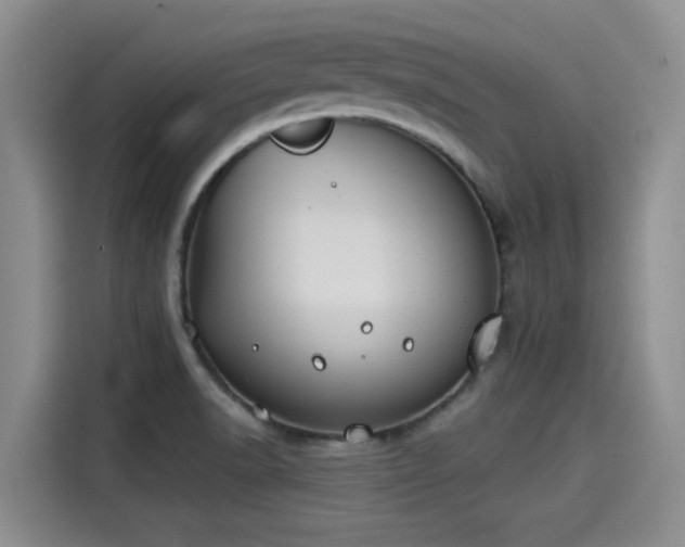 X0000115251518200911061208