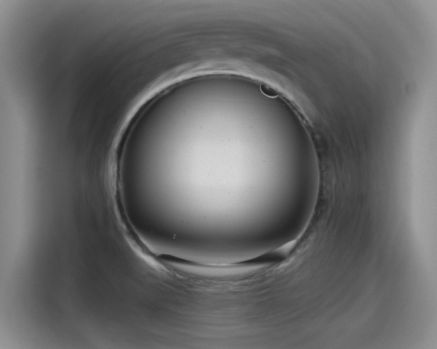 X0000115251519200911061208