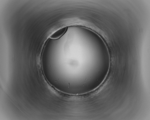 X0000115251521200911061208