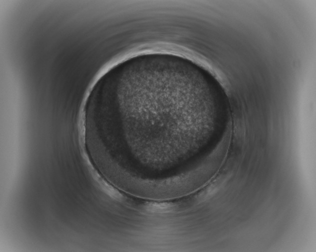 X0000115251522200911061208