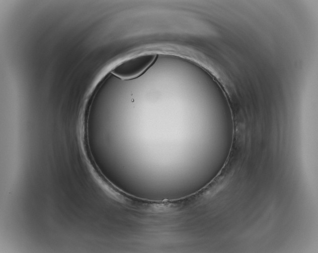 X0000115251523200911061208
