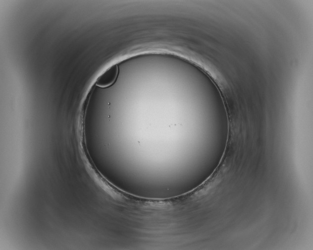 X0000115251526200911061208