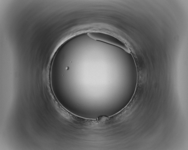 X0000115251530200911061208