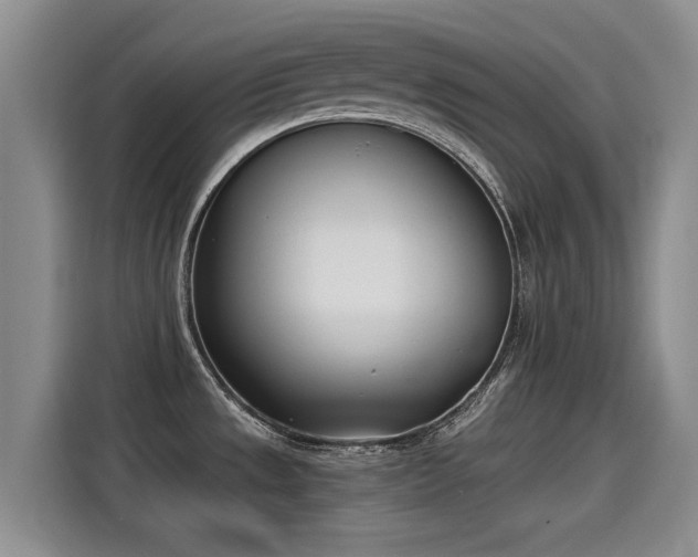 X0000115251533200911061208