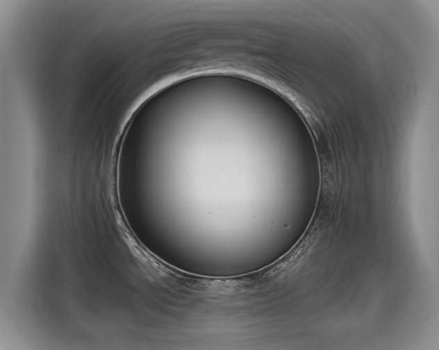 X0000115251534200911061208