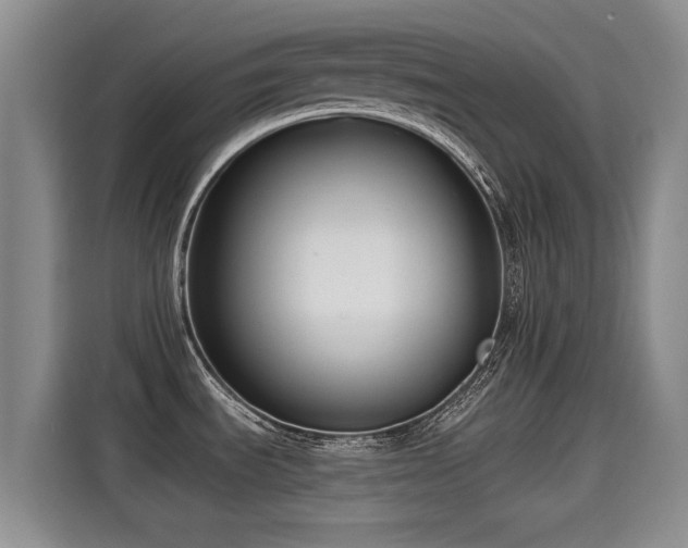X0000115251535200911061208