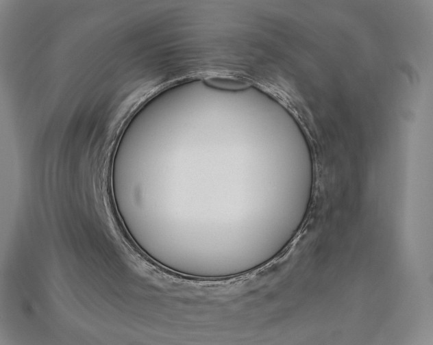 X0000115250001200911131734