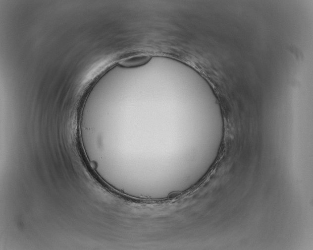 X0000115250005200911131734