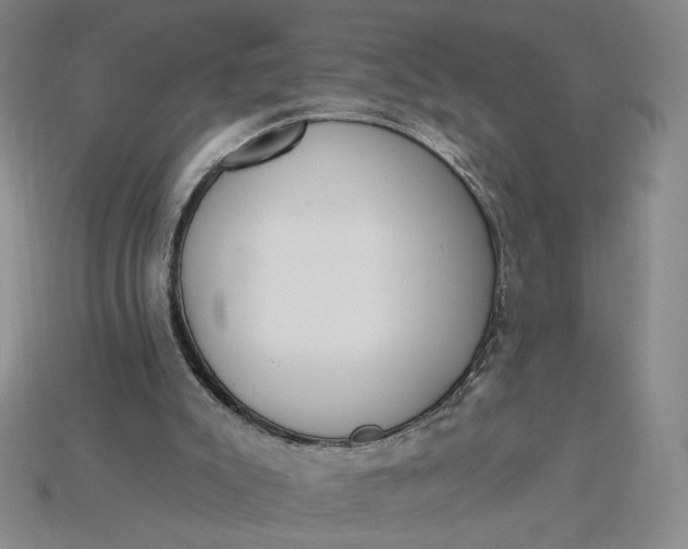 X0000115250007200911131734