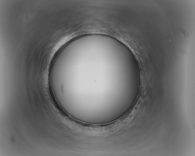 X0000115250008200911131734