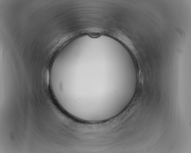 X0000115250013200911131734