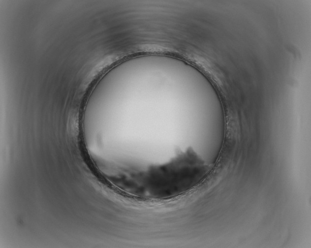 X0000115250015200911131734