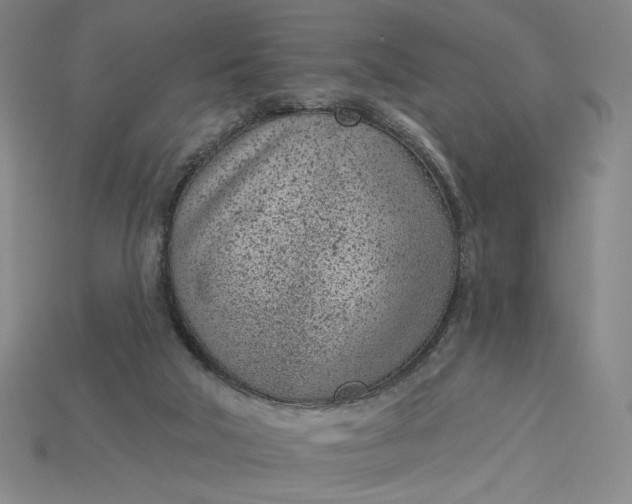 X0000115250018200911131734