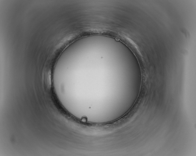 X0000115250020200911131734