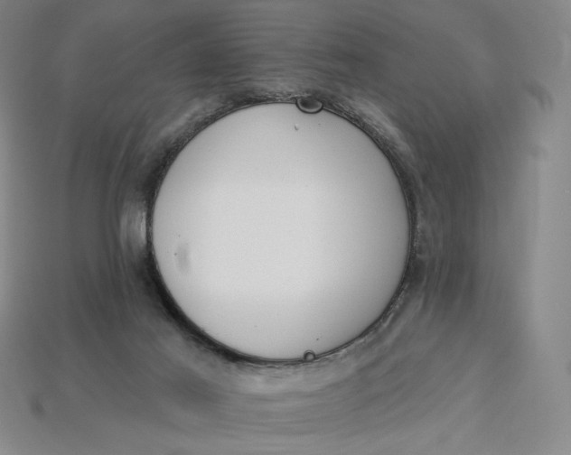 X0000115250021200911131734