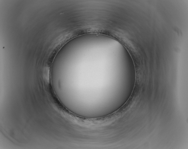 X0000115250022200911131734