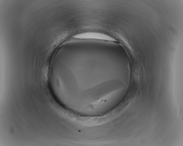 X0000115250023200911131734