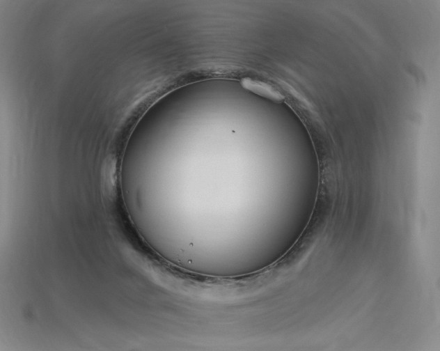 X0000115250024200911131734