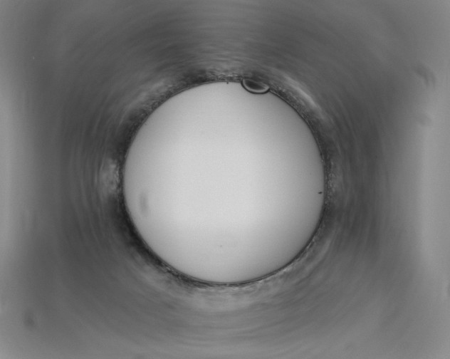 X0000115250025200911131734