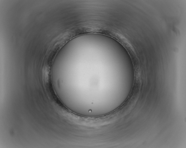 X0000115250026200911131734