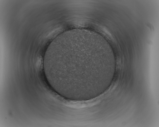 X0000115250029200911131734