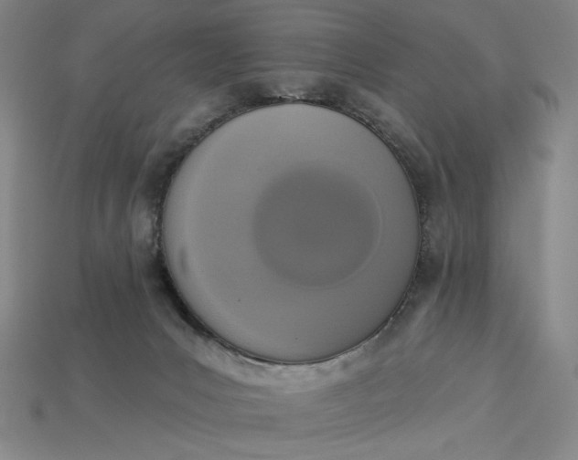 X0000115250031200911131734