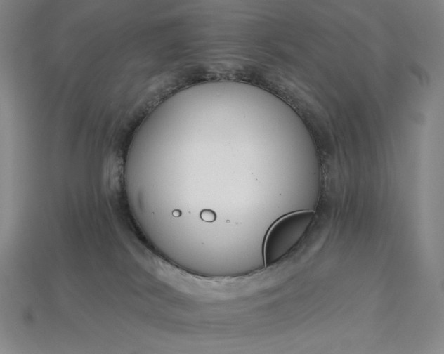 X0000115250038200911131734