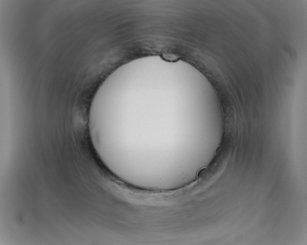 X0000115250040200911131734