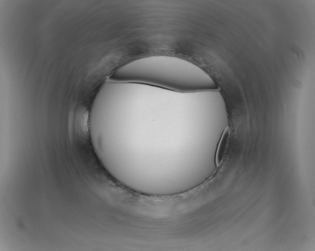 X0000115250041200911131734