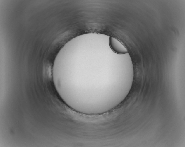 X0000115250042200911131734