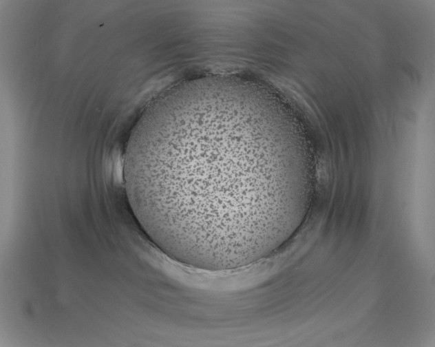 X0000115250046200911131734