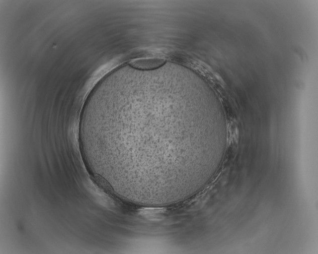 X0000115250051200911131733