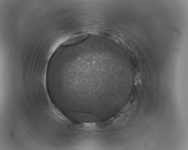 X0000115250052200911131733