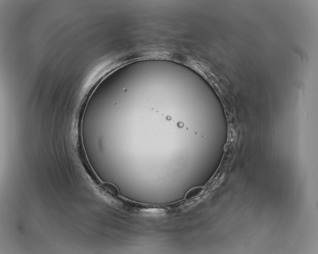 X0000115250053200911131733