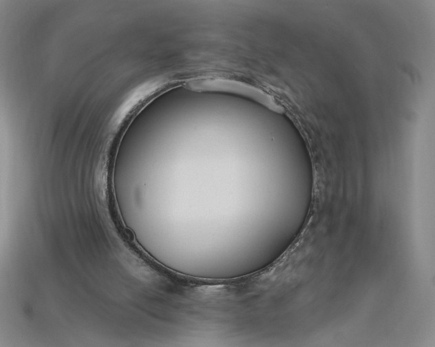 X0000115250054200911131733