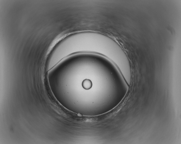 X0000115250056200911131733