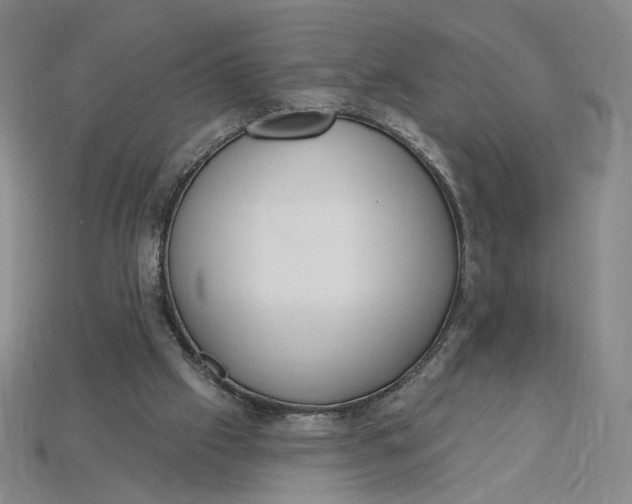 X0000115250057200911131733