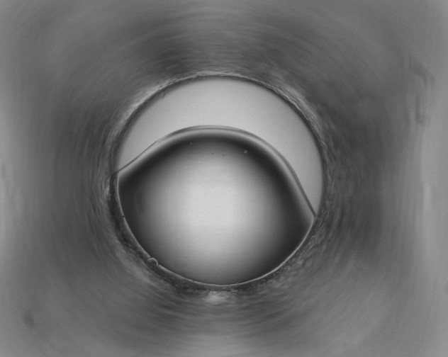 X0000115250060200911131733