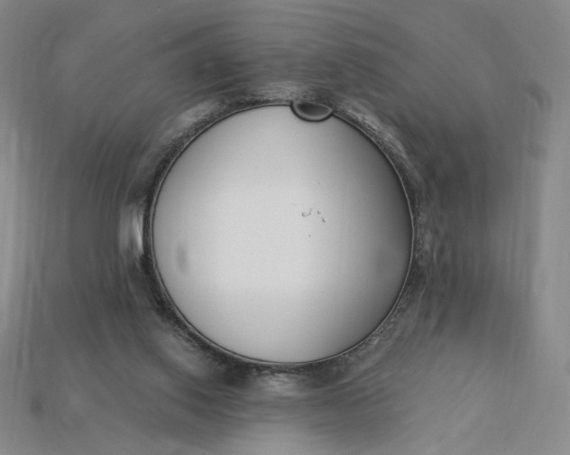 X0000115250062200911131733