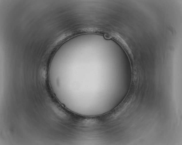 X0000115250063200911131733