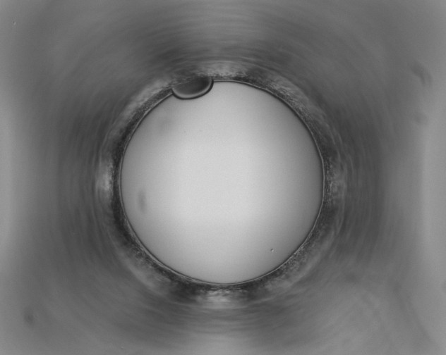 X0000115250064200911131733