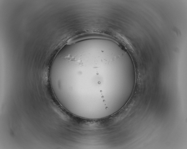 X0000115250065200911131733