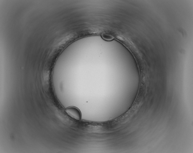 X0000115250066200911131733